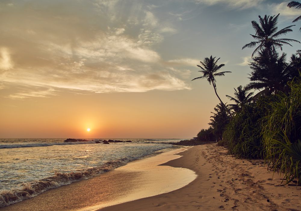 Weligama Sri Lanka.jpg